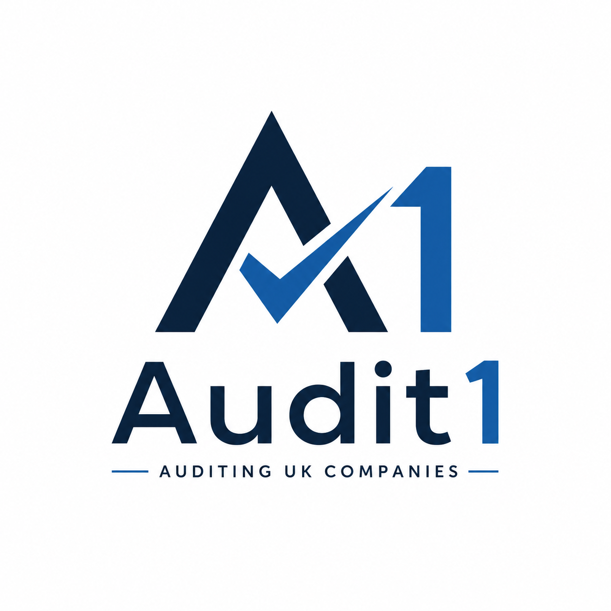 Audit1